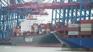 Hamburger Hafen © Screenshot 