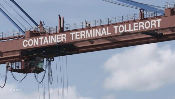 Ein Kran über dem Containerterminal "Tollerort" im Hamburger Hafen. © Screenshot 