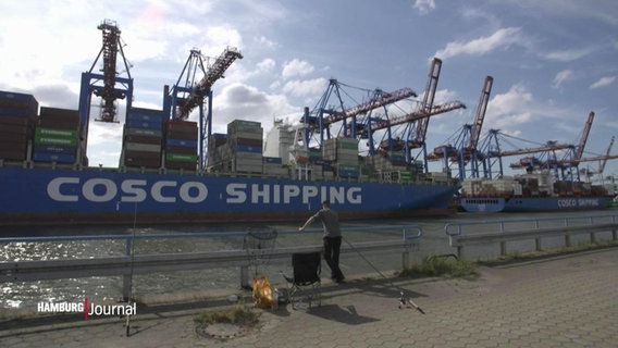 Kräne und Container am Hamburger Hafen. © Screenshot 