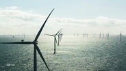 Offshore-Windpark. © Screenshot 