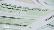 Ein Formular zur Feststellung des Grundsteuerwerts. © Screenshot 