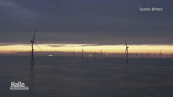 Ein Offshore-Windpark in der Abenddämmerung. Quelle: Orsted © Screenshot 