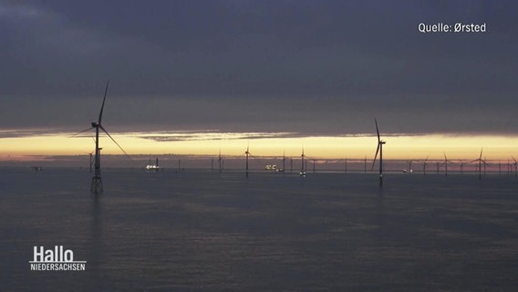 Ein Offshore-Windpark in der Abenddämmerung. Quelle: Orsted © Screenshot 