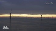 Ein Offshore-Windpark in der Abenddämmerung. Quelle: Orsted © Screenshot 