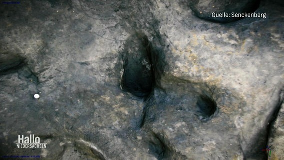 Der Fußabdruck eines Menschen an einer archeologischen Ausgrabungsstelle. Quelle: Senckenberg © Screenshot 