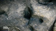 Der Fußabdruck eines Menschen an einer archeologischen Ausgrabungsstelle. Quelle: Senckenberg © Screenshot 
