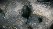 Versteinerte Fußspuren eines Menschen. Quelle: Senckenberg © Screenshot 