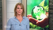 Die Ratgeber mit Anne Brüning am 12.05.2023. © Screenshot 