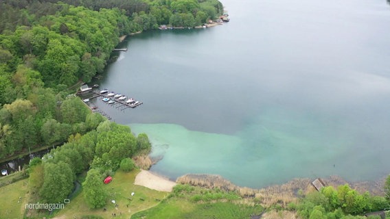 Auf dem Plauer See und einem Zufluss ist es bereits so früh im Jahr zur Bildung von Blaualgen gekommen. © Screenshot 