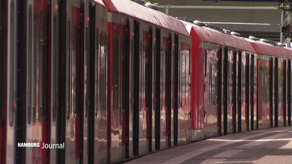 EIne Hamburger S-Bahn steht mit offenen Türen an einem menschenleeren Bahnsteig. © Screenshot 
