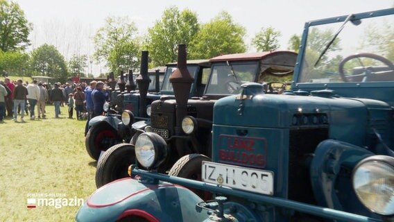 Zahlreiche alte Traktoren der Marke Lanz Bulldog stehen in einer Reihe nebeneinander. © Screenshot 