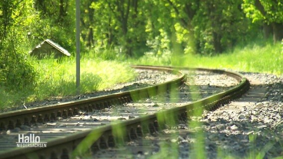 Eine alte Bahnlinie soll wieder in Betrieb genommen werden. © Screenshot 
