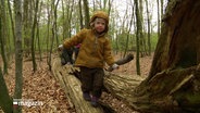 Im Wald: Ein Kind im Kindergartenalter balanciert über einen Baumstamm. © Screenshot 