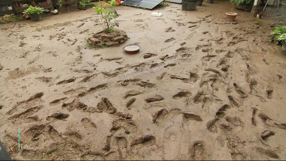 Fußabdrücke im Schlamm in Thal bei Bad Pyrmont. © Screenshot 