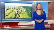 Nachrichtensprecherin Tina Hermes, im Hintergrund ein Bild von Schafen auf einem Deich. © Screenshot 