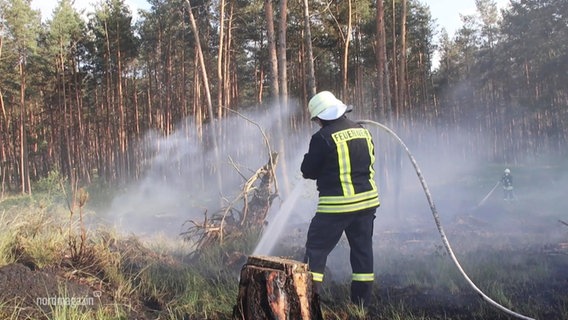 Die Feuerwehr löscht einen Waldbrand. © Screenshot 