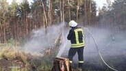 Die Feuerwehr löscht einen Waldbrand. © Screenshot 