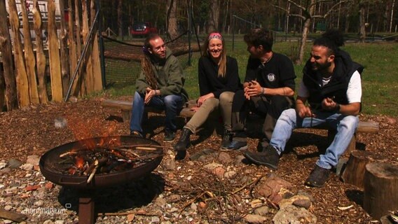 Vier Menschen sitzen an einem Lagerfeuer. © Screenshot 