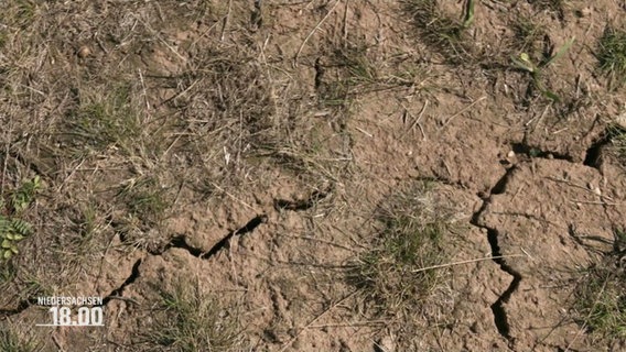Ausgetrockneter Erdboden mit verdorrtem Gras und Rissen © Screenshot 