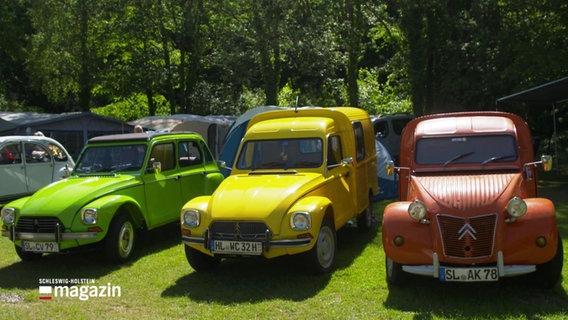 Drei Autos der Marke Citroën 2CV beim Oldtimertreffen in Kiel. © Screenshot 