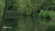 Eimsbüttler Weiher. © Screenshot 