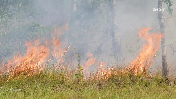 Ein Brand in der Nähe von Jüterbog © Screenshot 