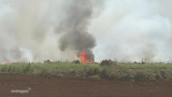 Ein Feuer in einer Moorlandschaft. © Screenshot 
