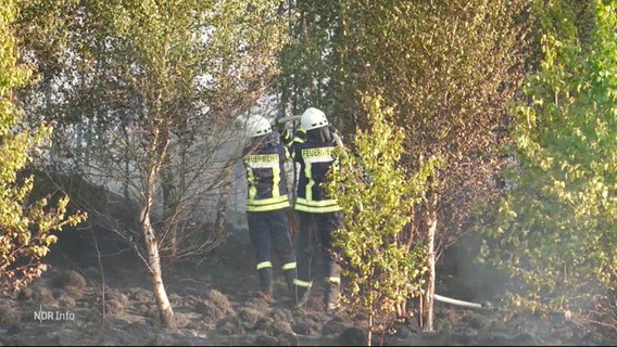 Die Feuerwehr löscht einen Waldbrand. © Screenshot 