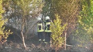 Die Feuerwehr löscht einen Waldbrand. © Screenshot 