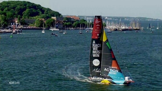 Segelschiff beim Ocean Race. © Screenshot 