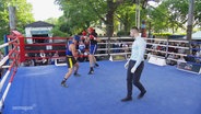 Ein Amateurboxkampf in Stralsund. © Screenshot 