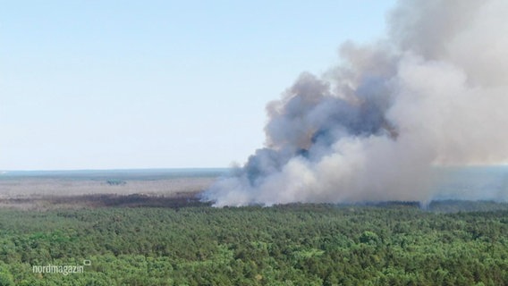 Ein Waldbrand, die große Rauchwolke zieht über die Bäume. © Screenshot 