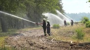 Feuerwehreinsatz bei einem Waldbrand in Lübtheen. © Screenshot 