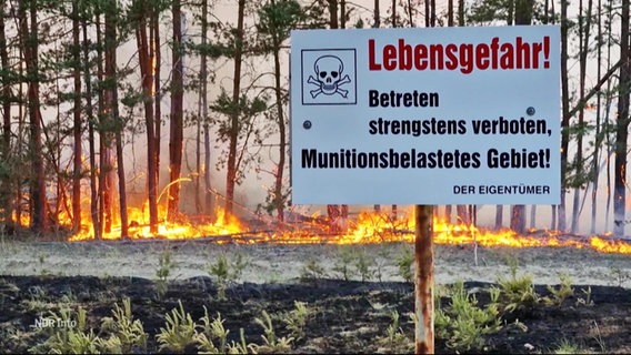 Ein Schild warnt "Betreten verboten" auf einem munitionsbelastetem Gebiet.  Im Hintegrund ist ein Waldbrand. © Screenshot 