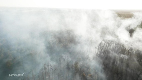 Rauch steigt aus einem Wald auf. © Screenshot 