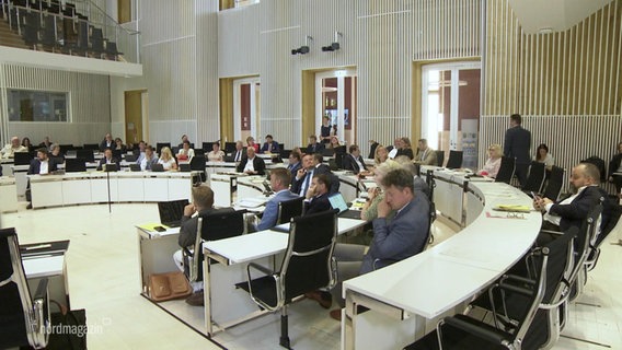 Abgeordnete im Schweriner Landtag debattieren. © Screenshot 