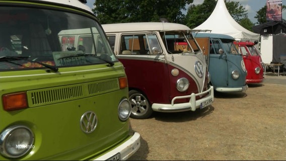 VW Busse auf dem Bulli Festival auf Fehrmarn. © Screenshot 
