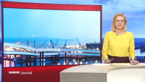 Merlin van Rissenbeck moderiert das Hamburg Journal 18:00. © Screenshot 