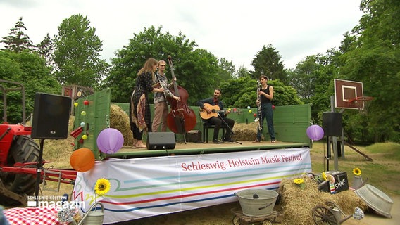 Eine Band spielt auf dem Anhänger eines Treckers. © Screenshot 