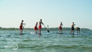 Eine Gruppe von Menschen fährt bei gutem Wetter auf klarem Wasser mit Stand-Up-Paddling-Boards. © Screenshot 