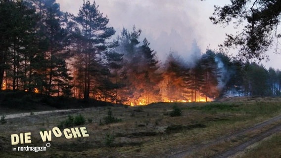 Blick aus der Entfernung auf ein Waldstück das in großen Flammen brennt. © Screenshot 