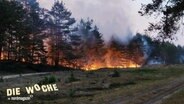 Blick aus der Entfernung auf ein Waldstück das in großen Flammen brennt. © Screenshot 