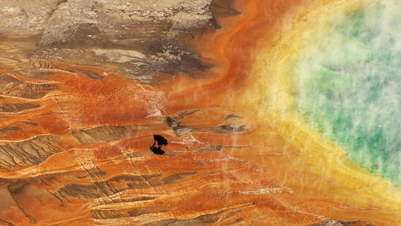 Aufnahme aus der Vogelperspektive. Ein Bison läuft am Rande des Grand Prismatic Spring, einer bunt schillernden heißen Quelle im Yellowstone Nationalpark © Screenshot 