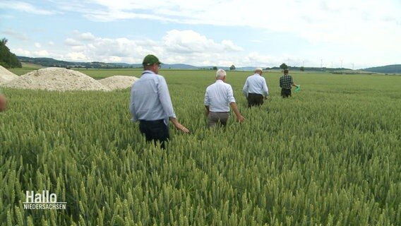 Landwirte Durchschschreiten prüfend ein Getreidefeld. © Screenshot 