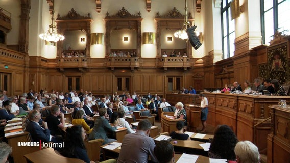 Die Bürgerschaft in Hamburg debatiert zum Asylrecht. © Screenshot 