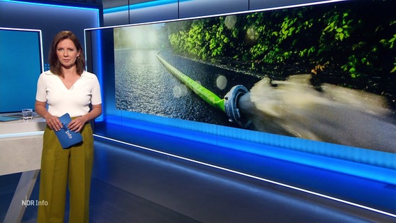 Romy Hiller moderiert NDR Info 16:00. © Screenshot 