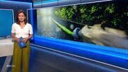 Romy Hiller moderiert NDR Info 16:00. © Screenshot 