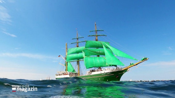 Das Segelschiff "Alexander von Humboldt II" © Screenshot 