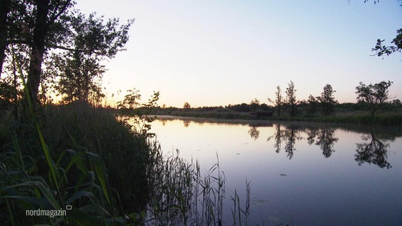 Abenddämmerung an einem Gewässer mit natürlicher Böschung. © Screenshot 