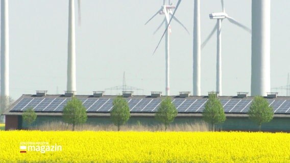 Windräder stehen in der Nähe von Ackerflächen. © Screenshot 